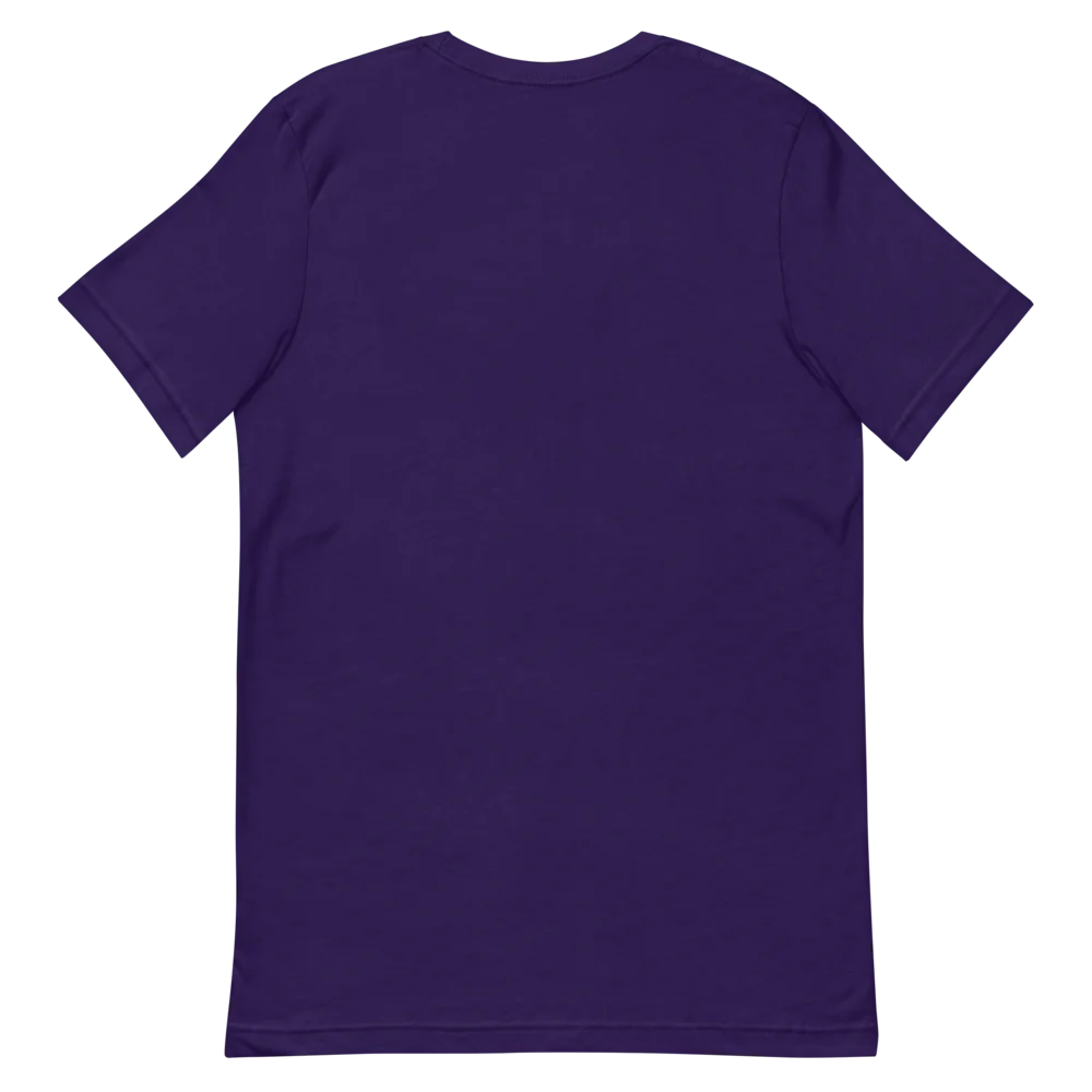 Unisex Staple T-Shirt | Bella + Canvas 3001