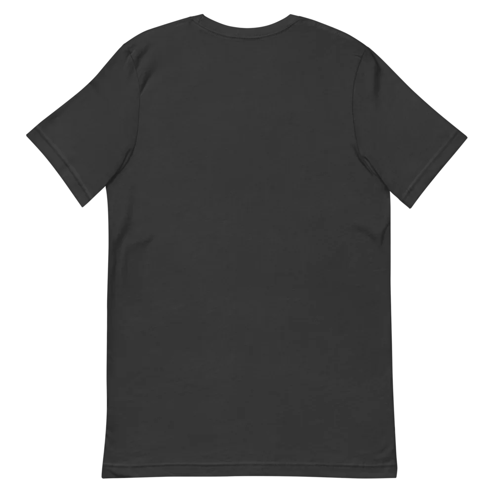 Unisex Staple T-Shirt | Bella + Canvas 3001